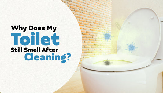 Why Does My Toilet Still Smell After Cleaning - Environ