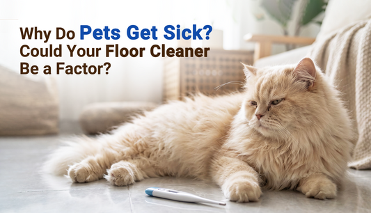 can-floor-cleaner-make-your-pet-sick